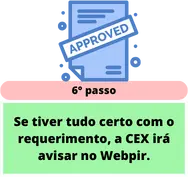 6-Estagio